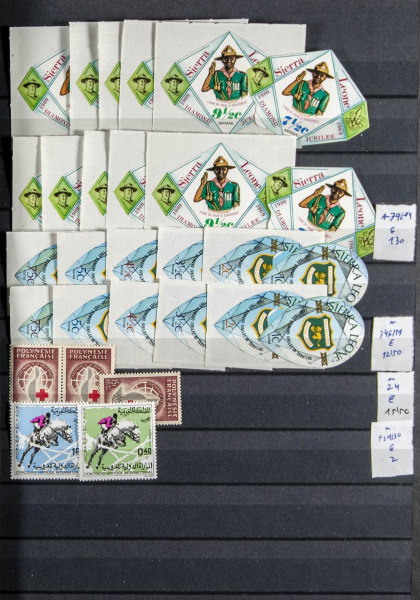 510 | Lots and Collections