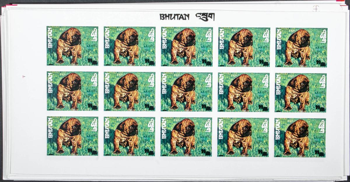 839 | Bhutan