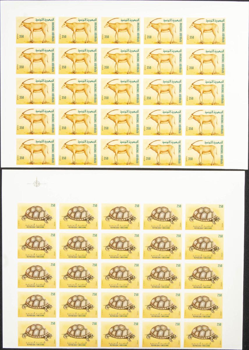 2924 | Tunisia