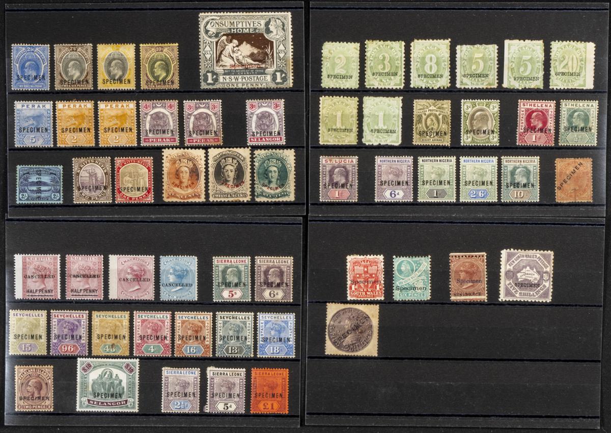 579 | Lots and Collections