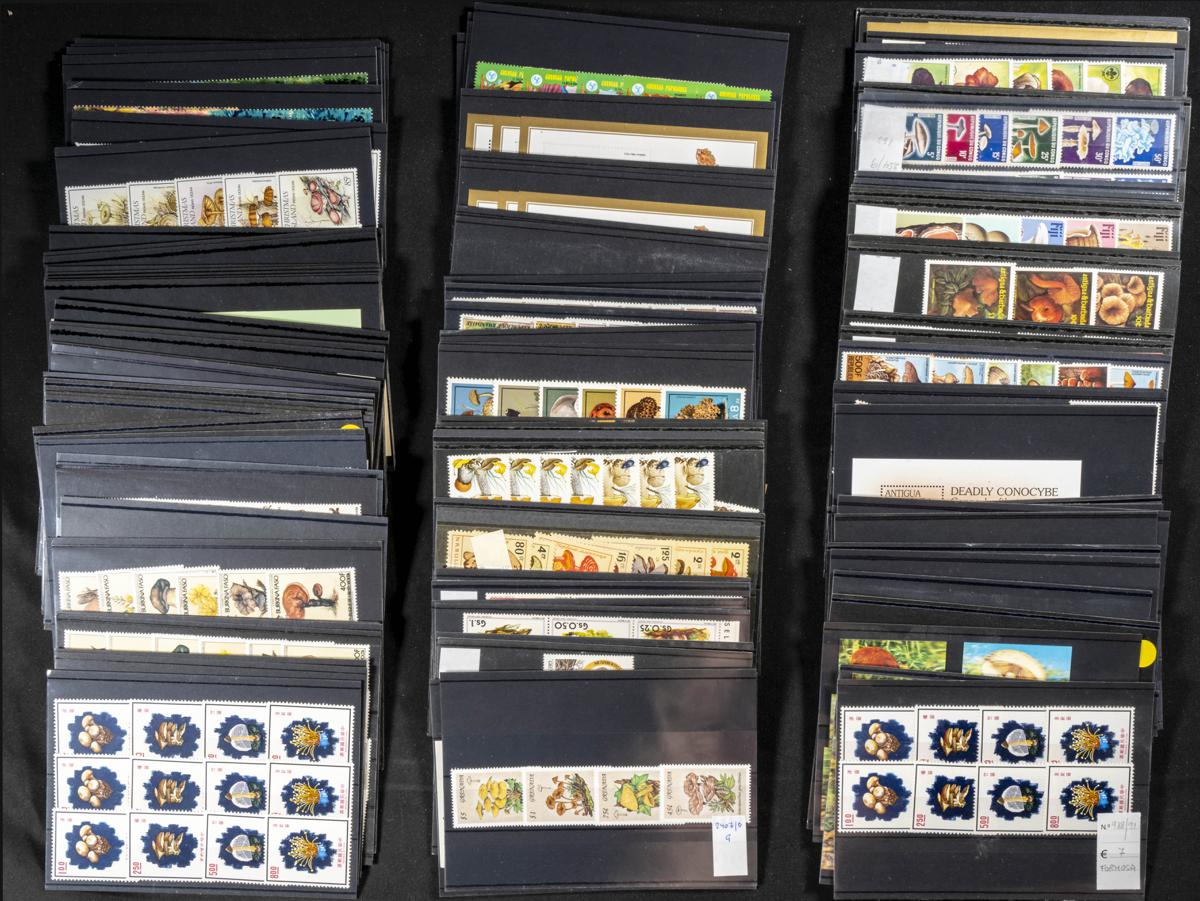 804 | Lots and Collections