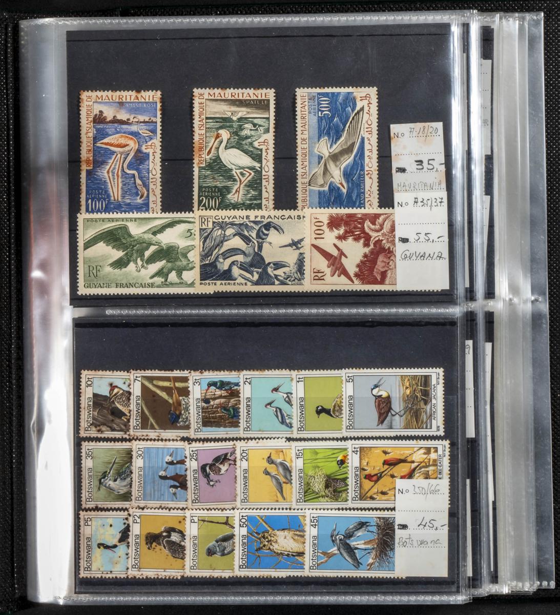 807 | Lots and Collections