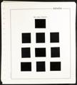 365