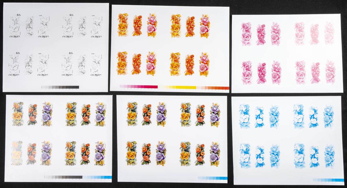 746 | Bhutan