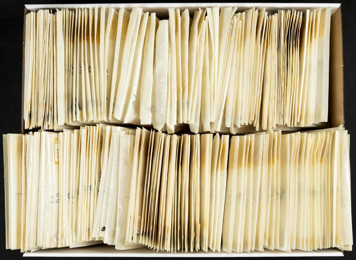 299 | Italia. Lotes y Colecciones.Extranjero