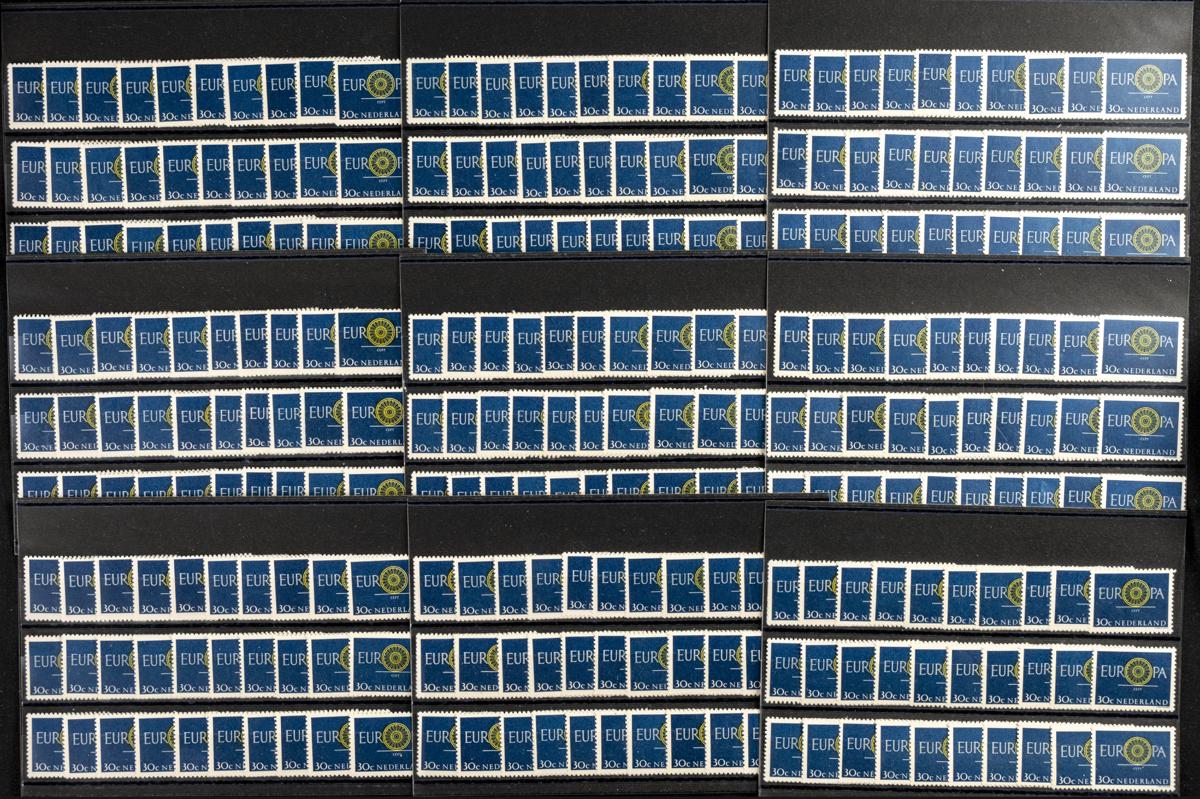 490 | Netherlands. Sets and stamps stock