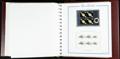 240