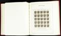 251