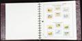 290