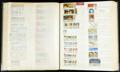 655