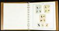 73