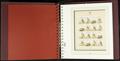 751