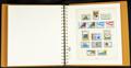 784