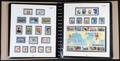 55