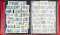877