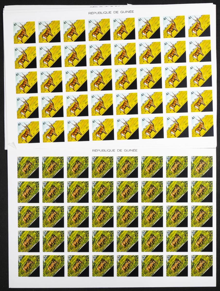 1300 | Guinea