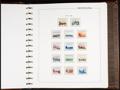 335