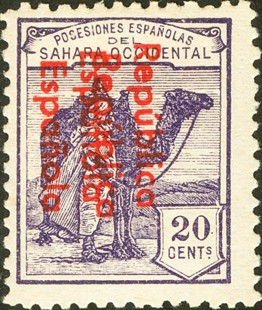 1251 | Sahara