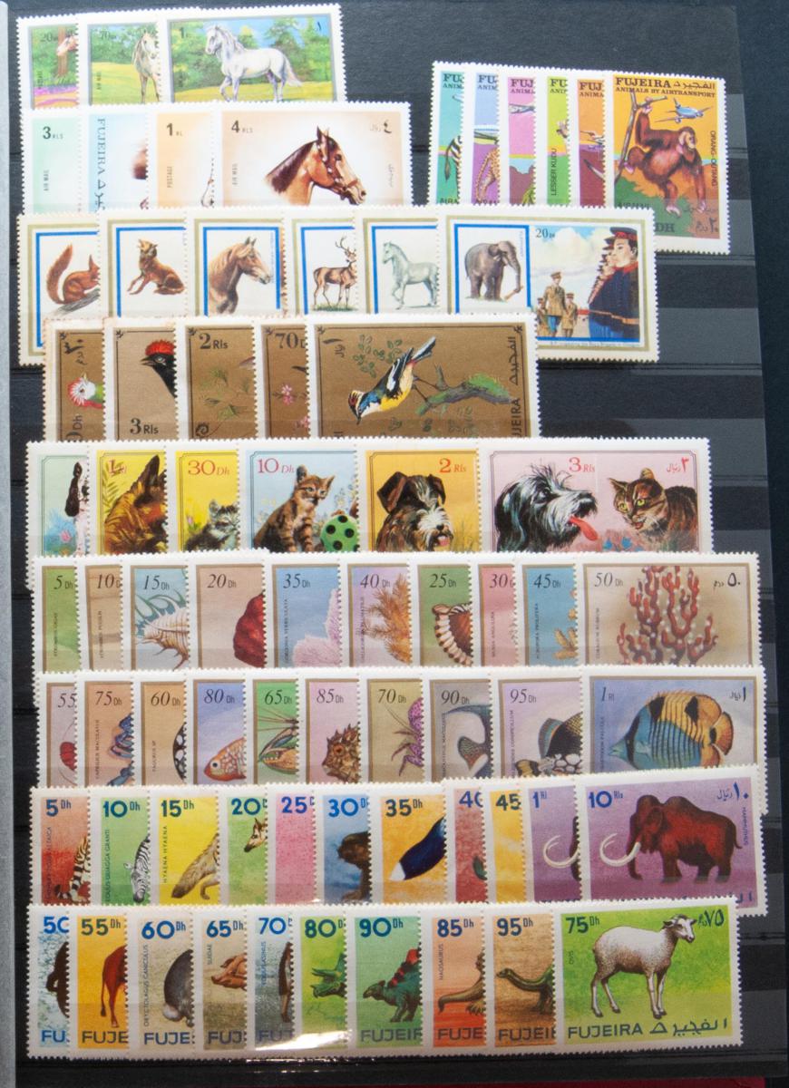 662 | Lots and Collections