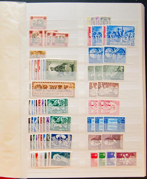 334 | Lots and Collections