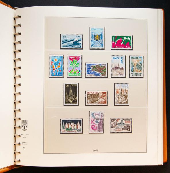 361 | Lots and Collections