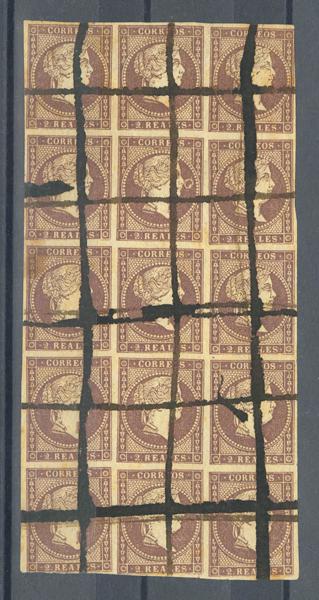 240 | 1º y 2º Centenario