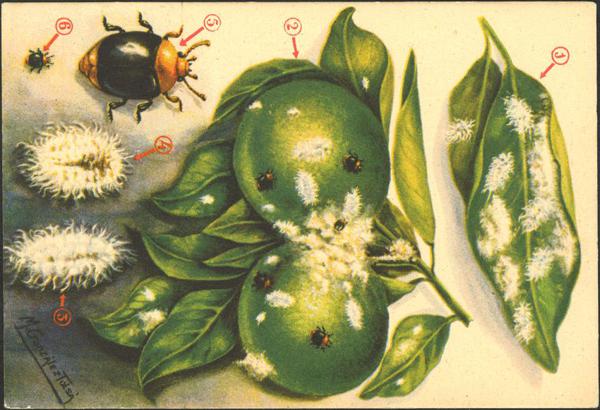 0000009828 - Otros apartados. Tarjetas Postales