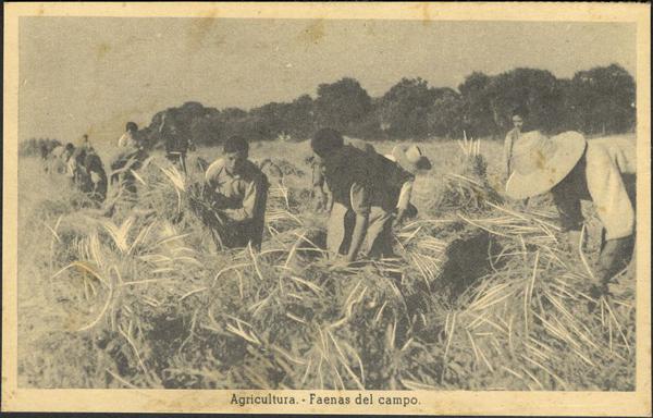 0000010464 - National Zone. National Postal