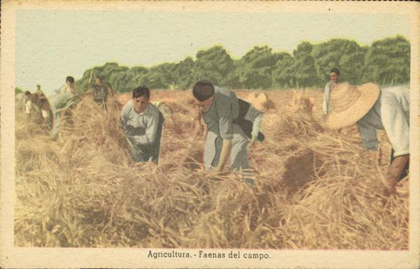 0000021551 - National Zone. National Postal