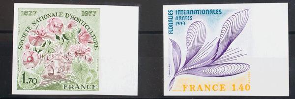 0000044299 - Francia