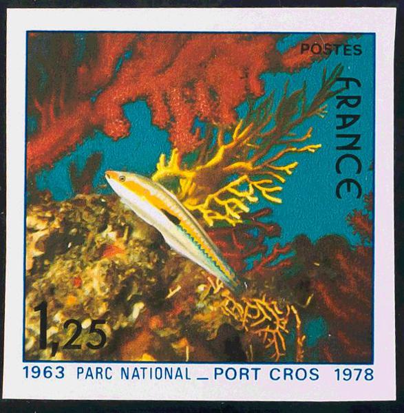 0000044339 - Francia