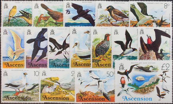 0000057393 - Ascensión