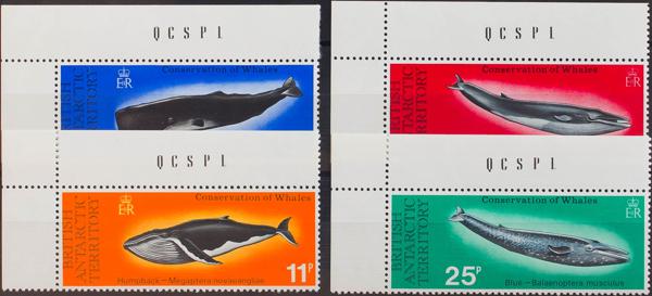 0000057466 - Antártida Británica