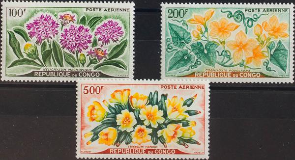 0000059851 - Congo. Aéreo