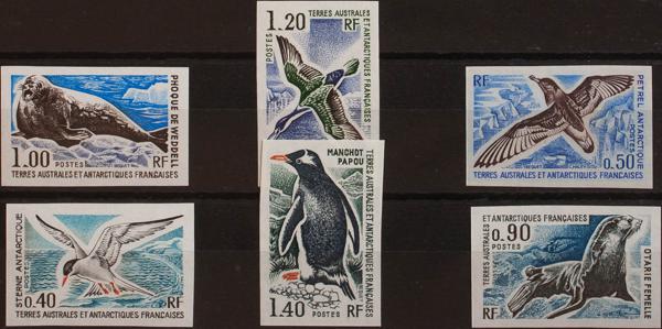 0000062884 - Tierras Australes y Antárticas Francesas