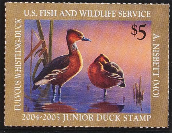 0000067548 - Estados Unidos. Licencias de Caza (Junior)