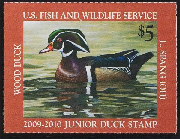 0000067550 - Estados Unidos. Licencias de Caza (Junior)