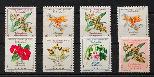 0000078533 - Colombia