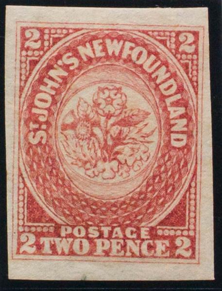 0000078558 - Terranova