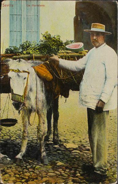 0000087105 - Sevilla