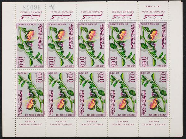 0000089235 - Marruecos Independiente