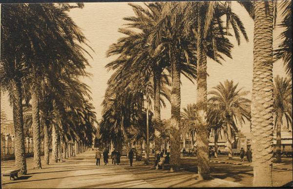 0000096649 - Alicante