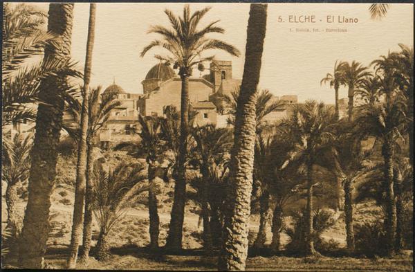 0000096676 - Alicante