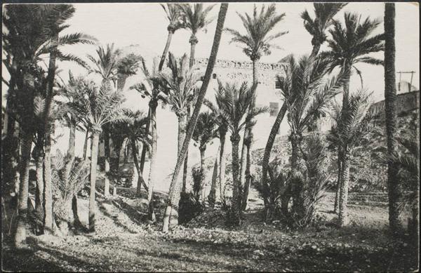 0000096678 - Alicante