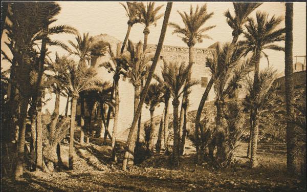 0000096679 - Alicante