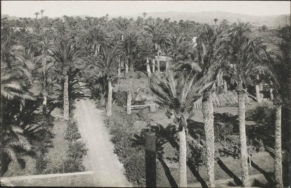 0000096680 - Alicante