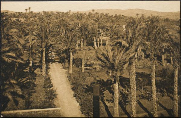 0000096681 - Alicante