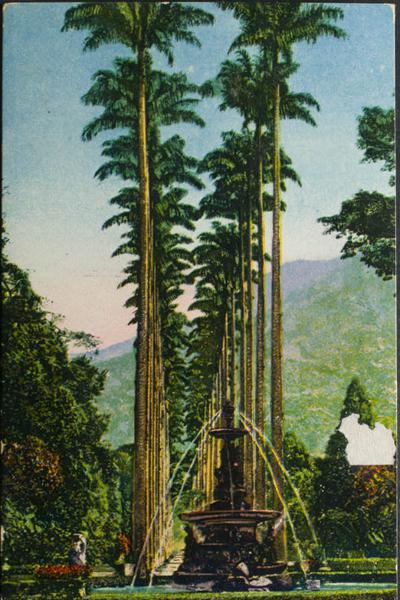 0000096682 - Alicante