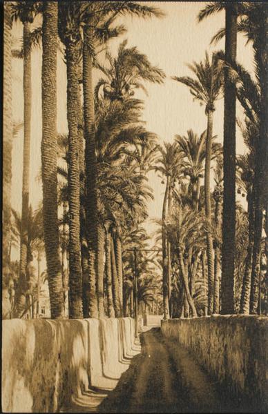 0000096684 - Alicante