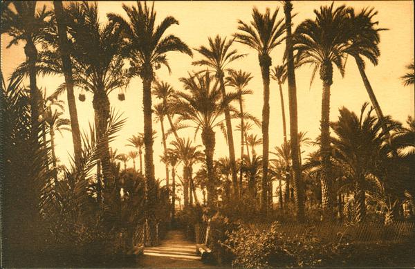 0000096685 - Alicante